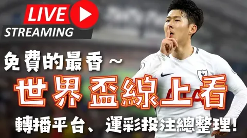 《剑影交织：杖剑英雄×神秘刺客》跨界联动大揭秘！