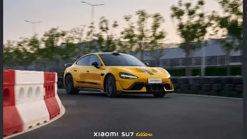 希望OL最强装备：陪伴你的地板战友